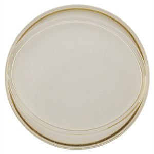 Lanco® Crystals CY-LANCO01 REF 2607