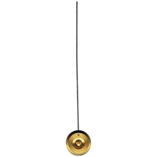 Medium French Pendulum (10593166351)