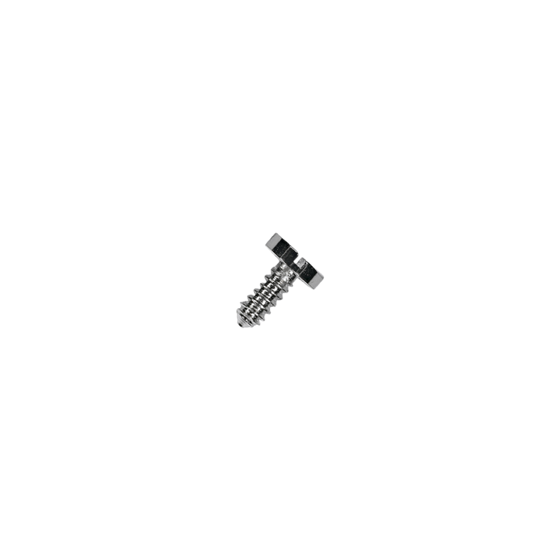 Rolex® calibre 1580 train bridge screw (thread diameter 0.80 mm) - short