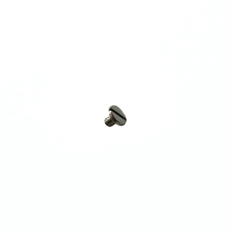 Genuine Rolex® click screw, fits Rolex® 1600, Rolex® 1601