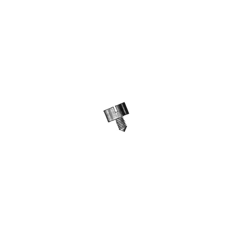 Genuine Omega® balance screw, part number 2162, fits Omega® T 17