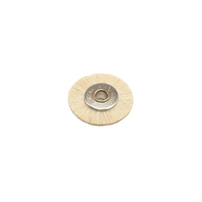Unmounted 1/8" Arbor Hole Brushes - 3/4" Brush Diameter (624370876450)