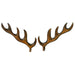 Antlers Wooden  5 1/8" (10567691727)