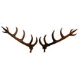 Antlers Wooden 4 1/4" (10567692303)