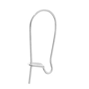 Hypo Allergenic Earwire (9713697295)