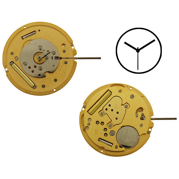 RL1013 Watch Movement (9346104196)